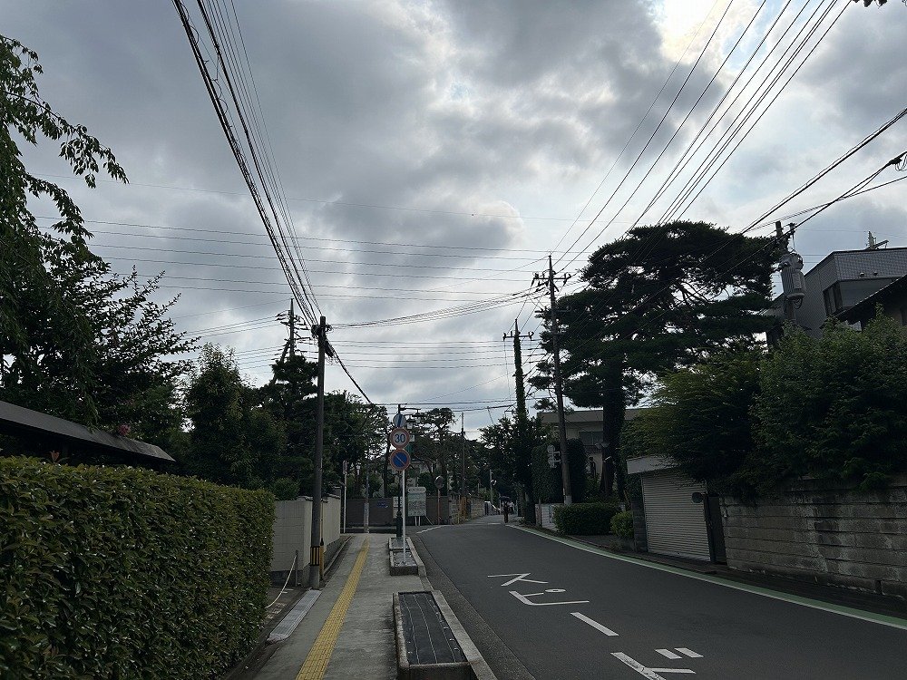 20250704b.jpg